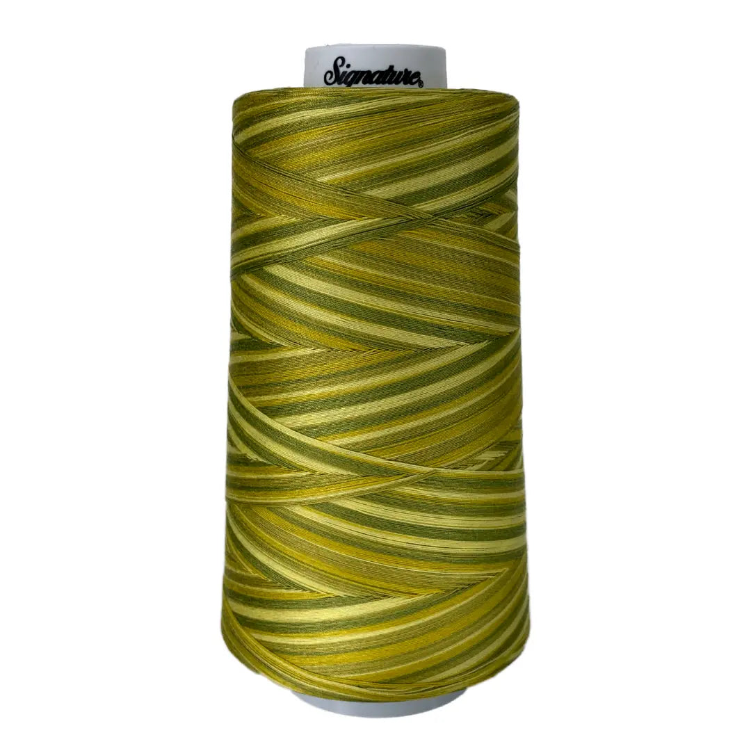 F150 Sun Lime Splash Signature Cotton Variegated Thread