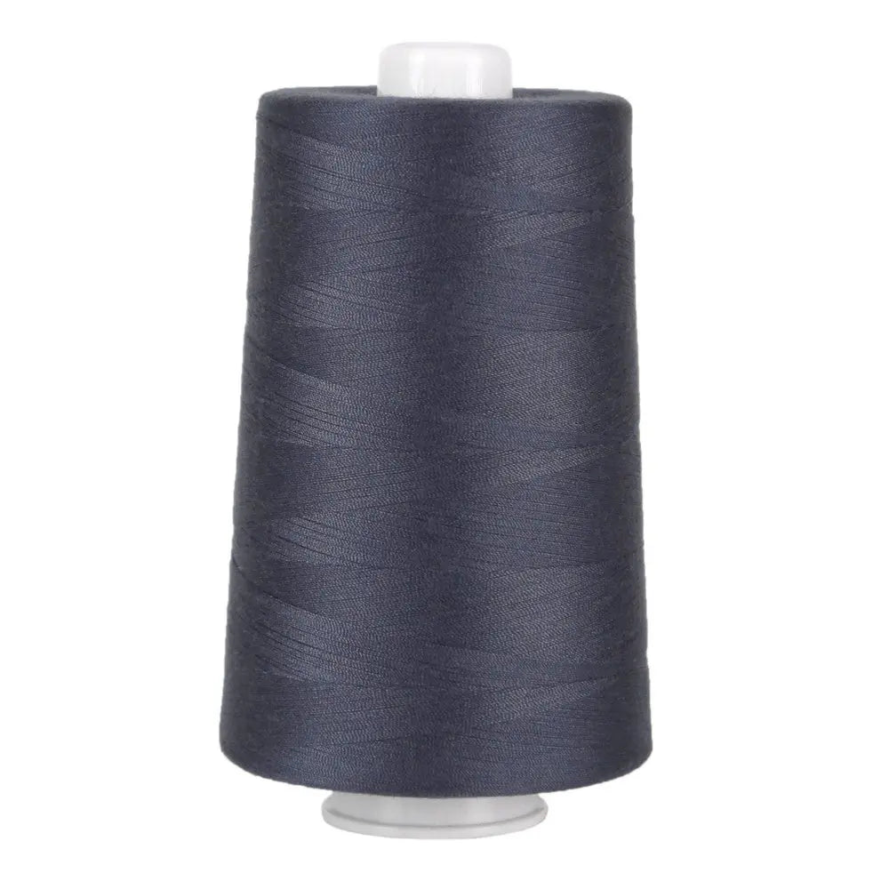 3113 Stormy Sky Omni Polyester Thread - Linda's Electric Quilters