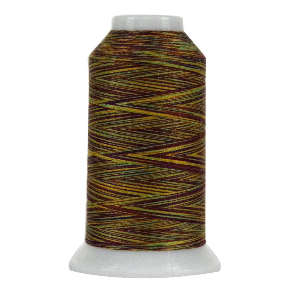 9015 Bazaar Omni Variegated Polyester Thread - Linda's Electric Quilters