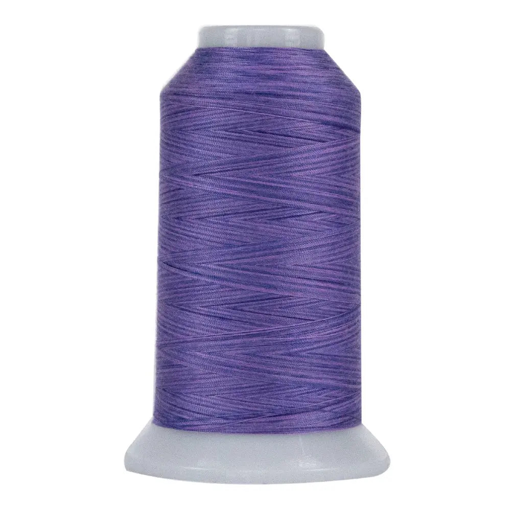 9019 Lydia Omni Variegated Polyester Thread - Linda's Electric Quilters