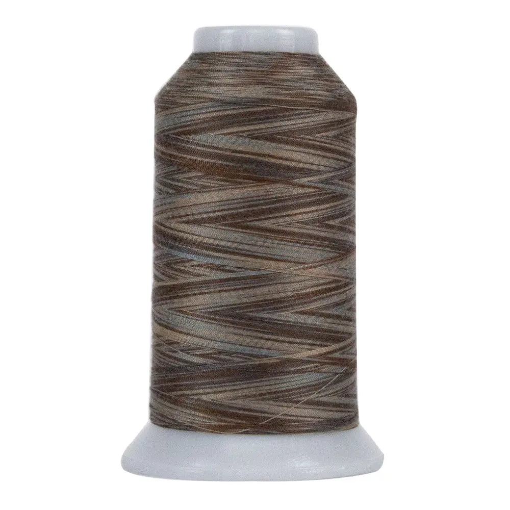 9020 Coyote Omni Variegated Polyester Thread - Linda's Electric Quilters