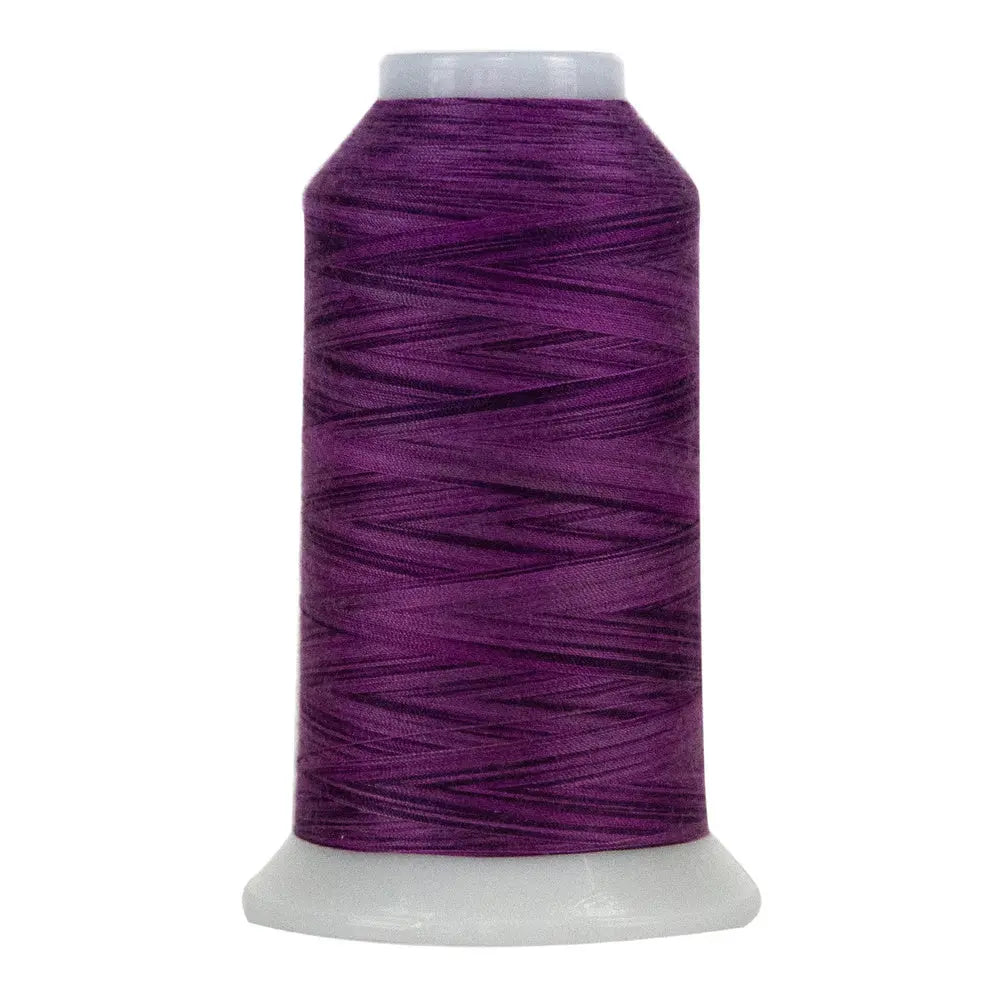 9039 Rhododendron Omni Variegated Polyester Thread