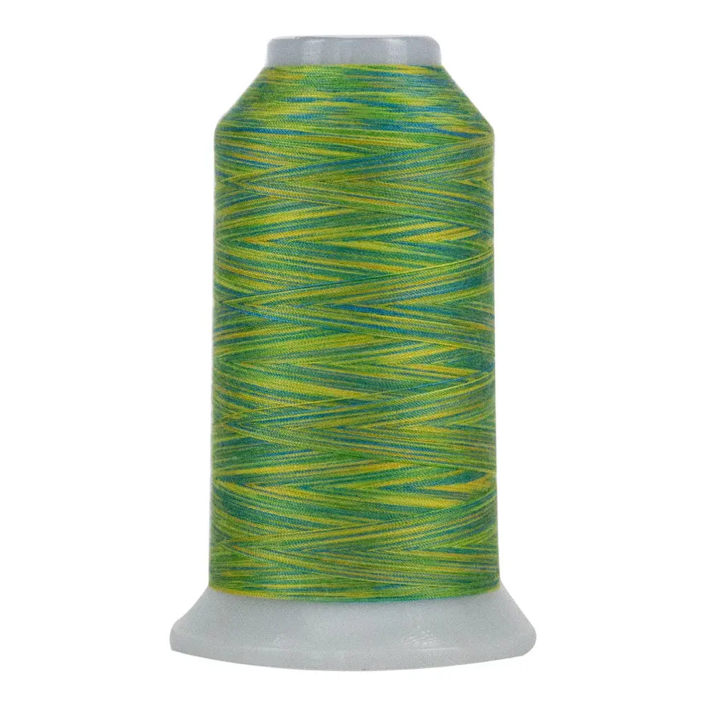 9055 Summer Days Omni Variegated Polyester Thread - Linda's Electric Quilters