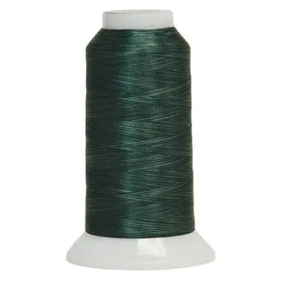 5067 Thorny Thicket Fantastico Variegated Polyester Thread - Linda's Electric Quilters