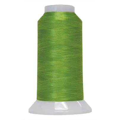 5113 Lime Light Fantastico Variegated Polyester Thread - Linda's Electric Quilters