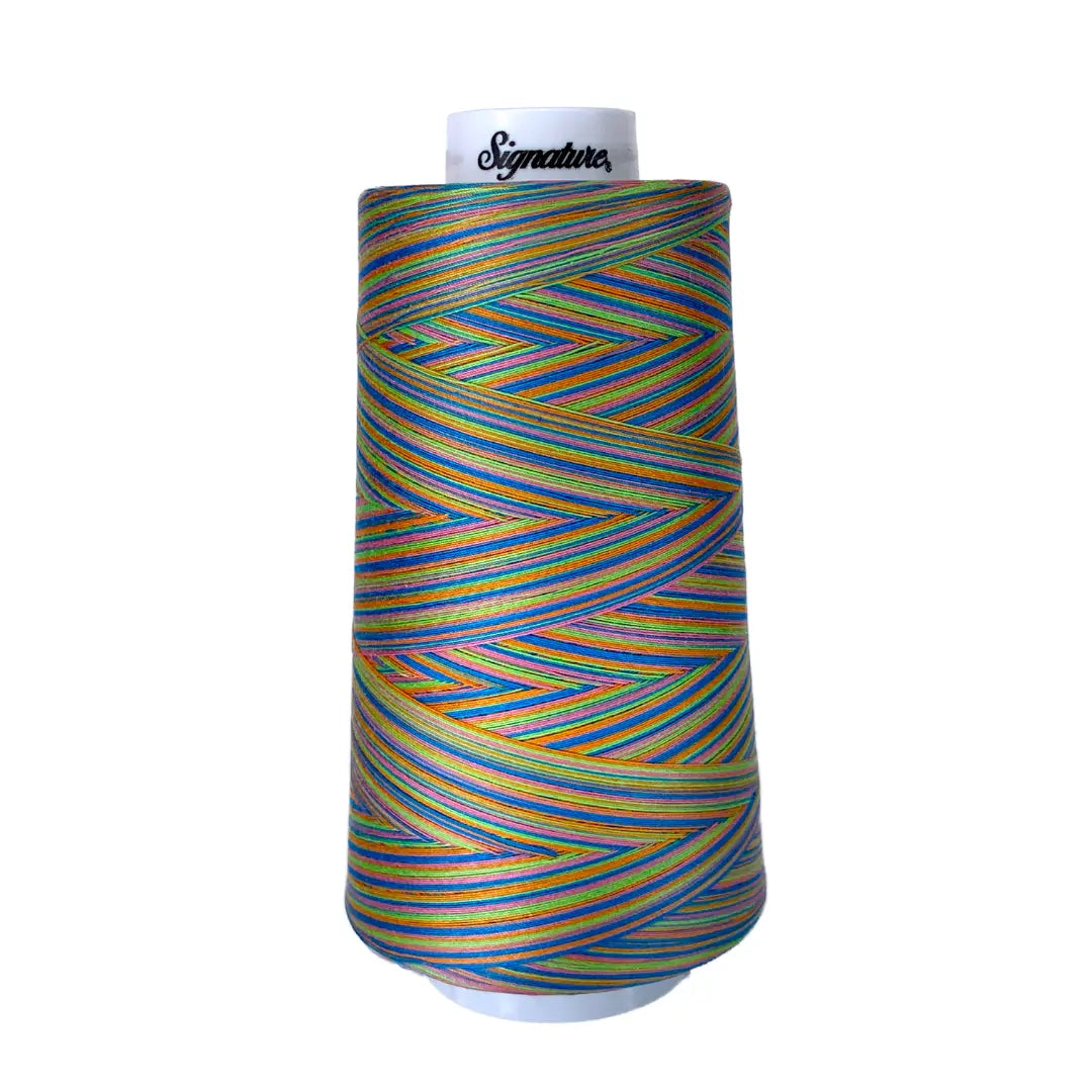 F253 Summery Fun Signature Cotton Variegated Thread - Linda's Electric Quilters