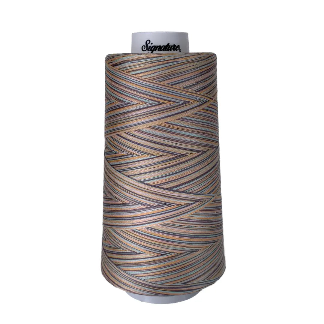 F254 Early Sunset Signature Cotton Variegated Thread