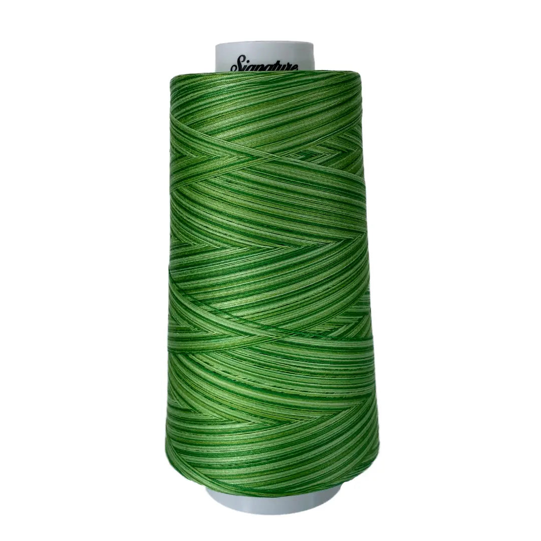 F259 Spring Grass Signature Cotton Variegated Thread - Linda's Electric Quilters