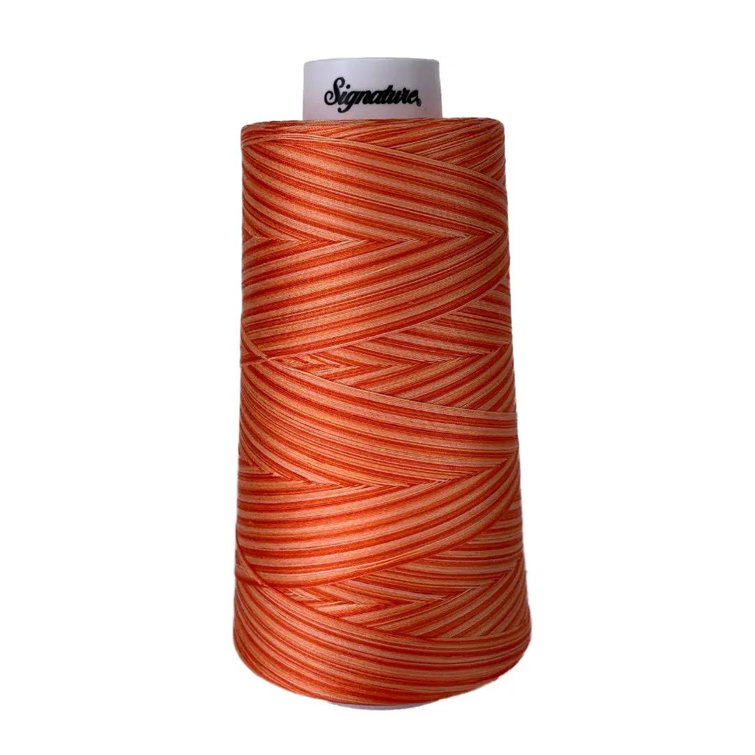 F261 Orange Craze Signature Cotton Variegated Thread - Linda's Electric Quilters