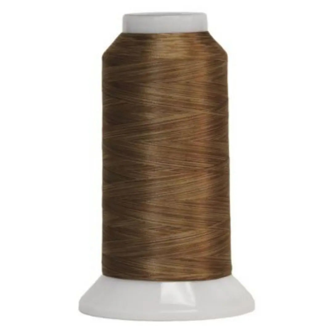 5036 Wood Grain Fantastico Variegated Polyester Thread - Linda's Electric Quilters