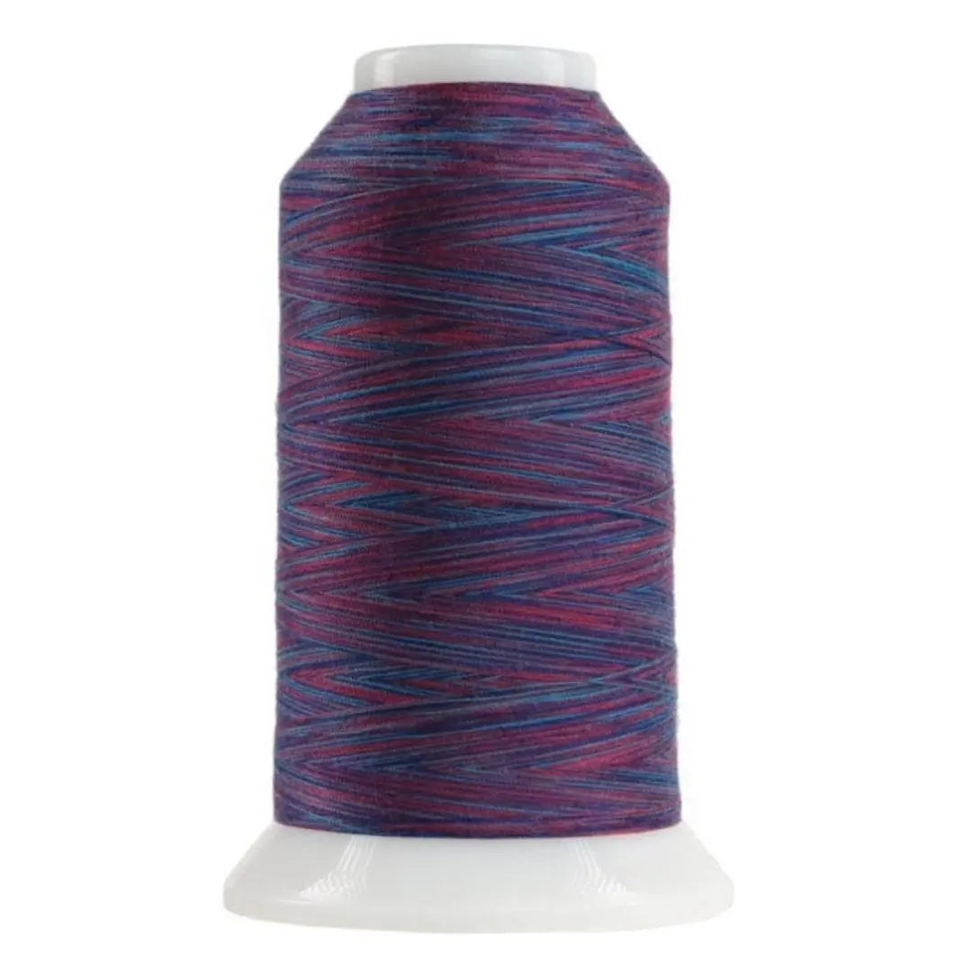 9041 Berry Smoothie Omni Variegated Polyester Thread - Linda's Electric Quilters