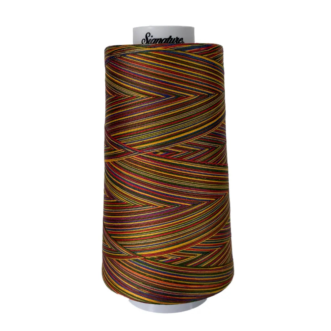 M01 Brights Signature Cotton Variegated Thread - Linda's Electric Quilters