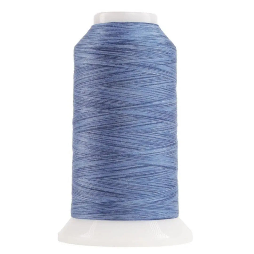 9004 Baby Benjamin Omni Variegated Polyester Thread - Linda's Electric Quilters