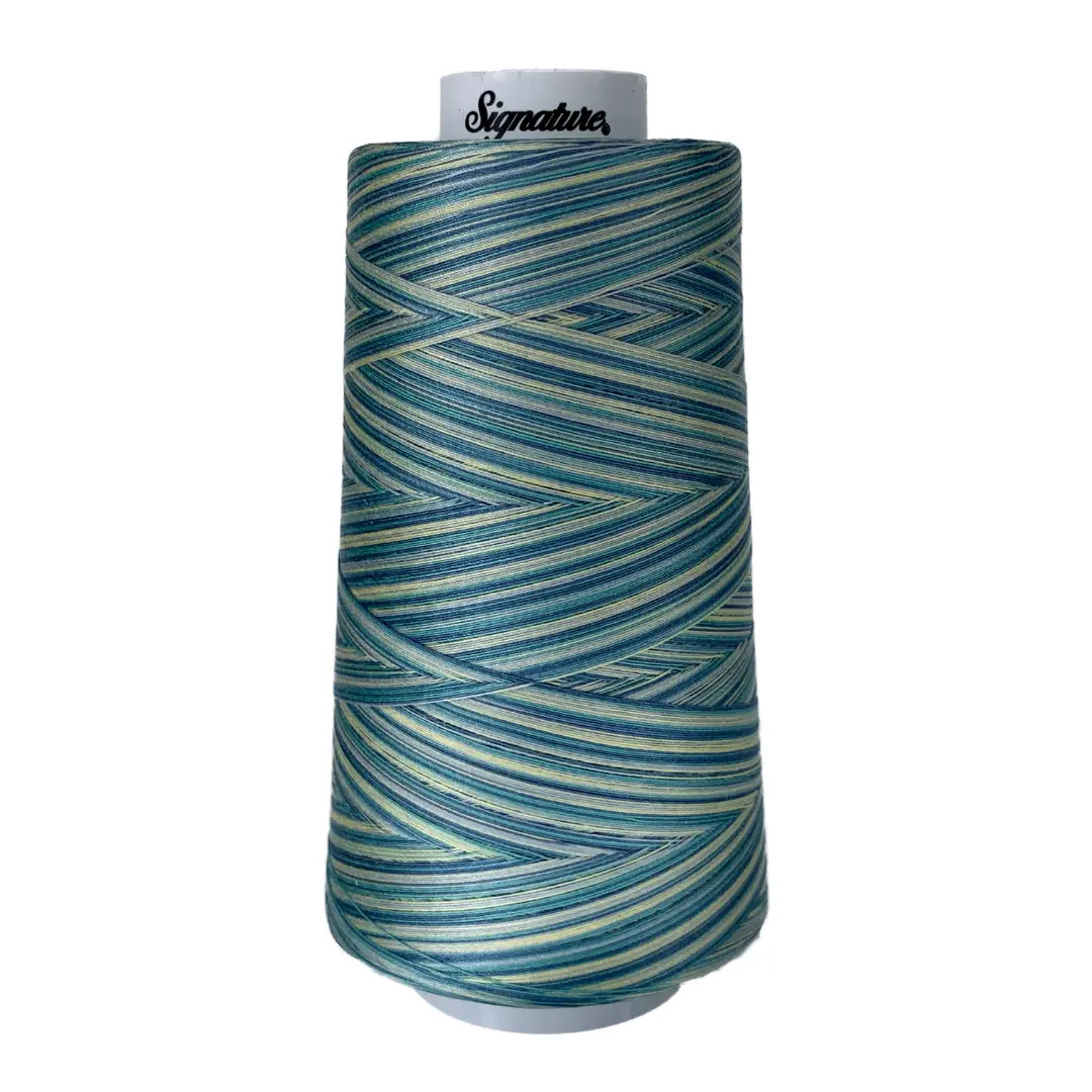 F151 St Thomas Signature Cotton Variegated Thread - Linda's Electric Quilters