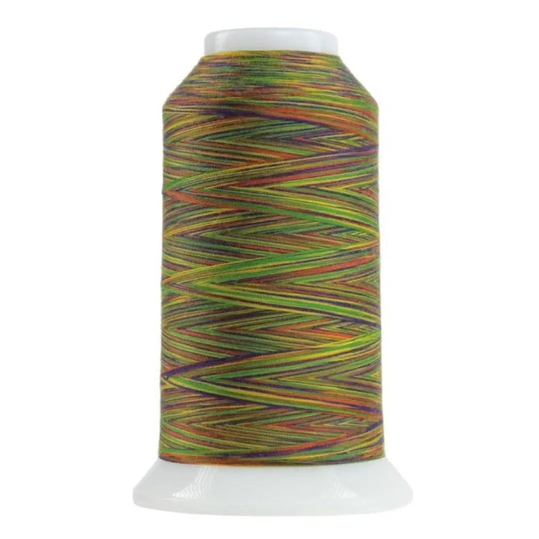 9044 Zumba Omni Variegated Polyester Thread - Linda's Electric Quilters