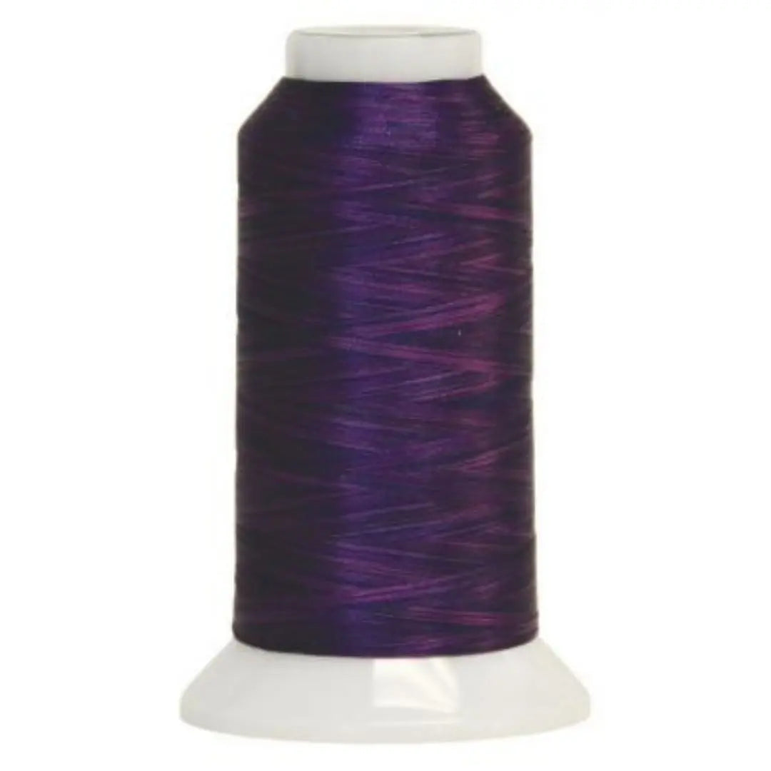 5049 Dynasty Fantastico Variegated Polyester Thread - Linda's Electric Quilters