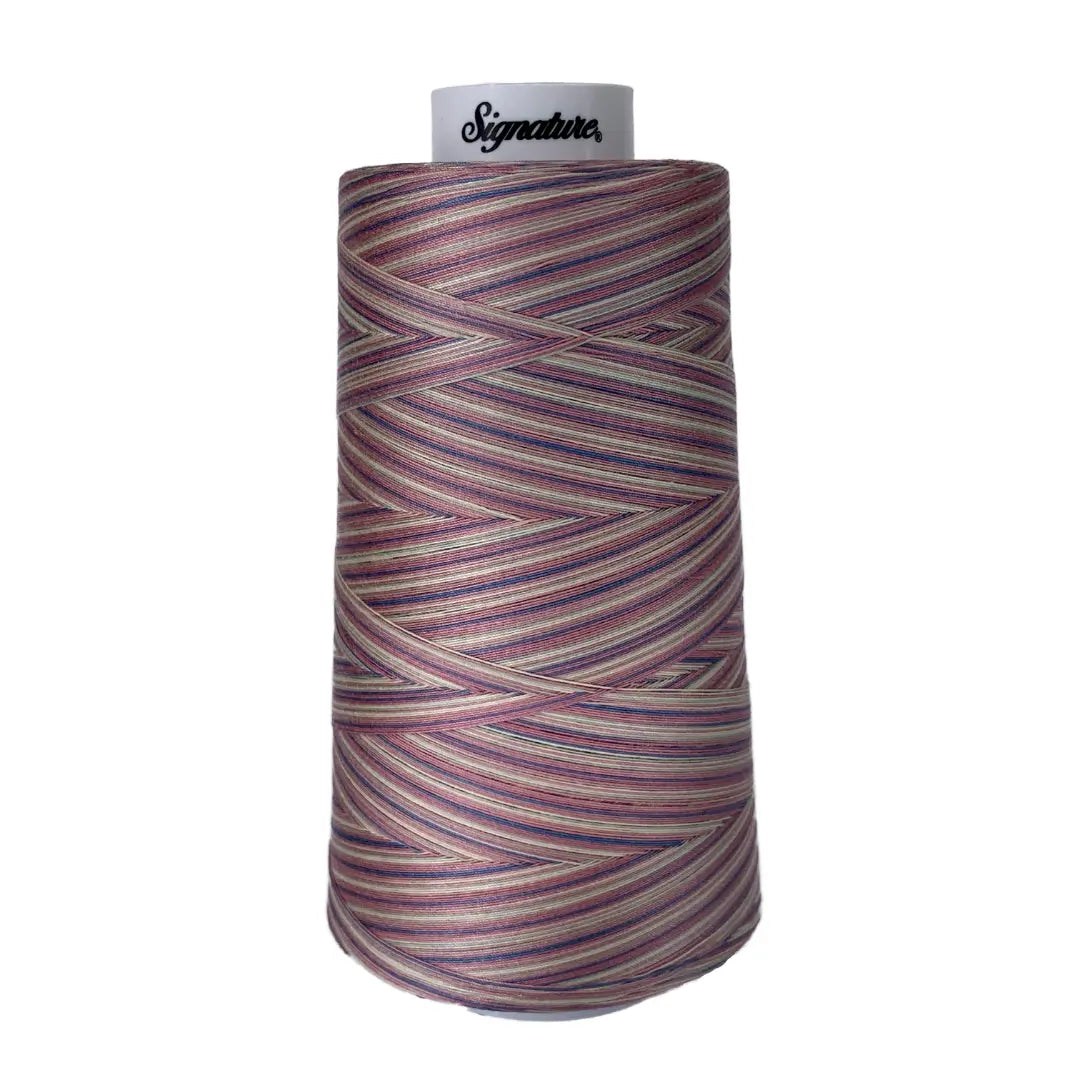 M06 Victorian Variegated Signature Cotton Variegated Thread - Linda's Electric Quilters