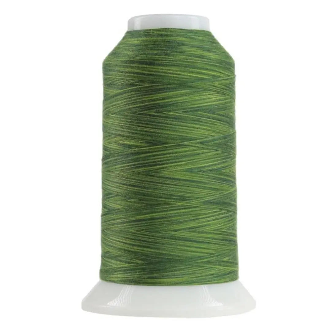 9054 Verdant Omni Variegated Polyester Thread - Linda's Electric Quilters