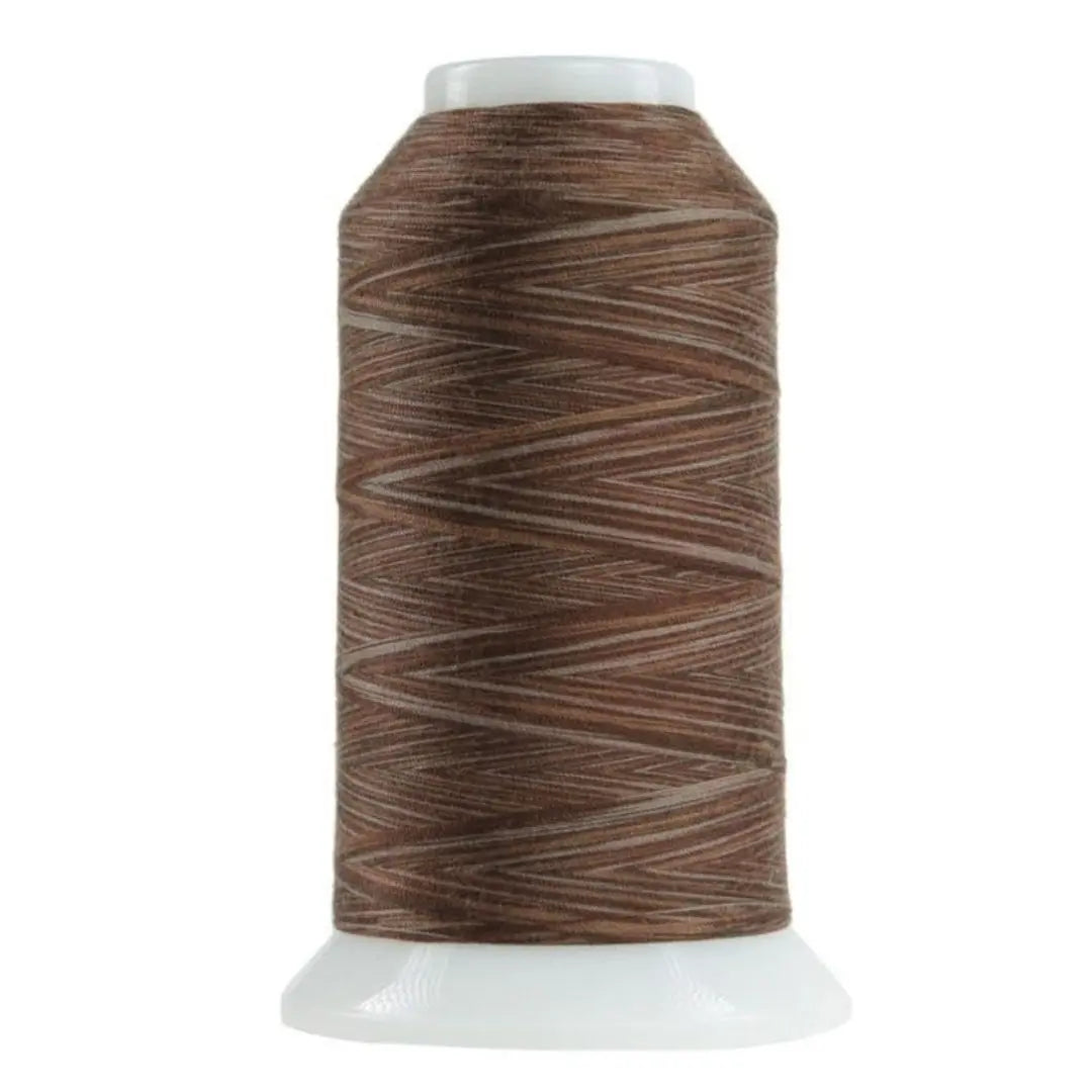 9081 Chocolate Omni Variegated Polyester Thread