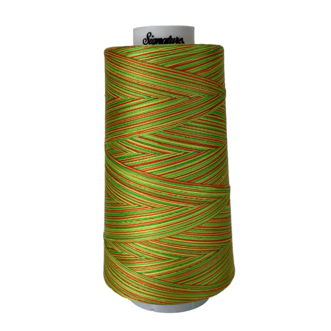 M10 Citrus Signature Cotton Variegated Thread - Linda's Electric Quilters