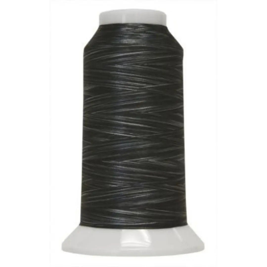 5101 Salt N Pepper Fantastico Variegated Polyester Thread - Linda's Electric Quilters