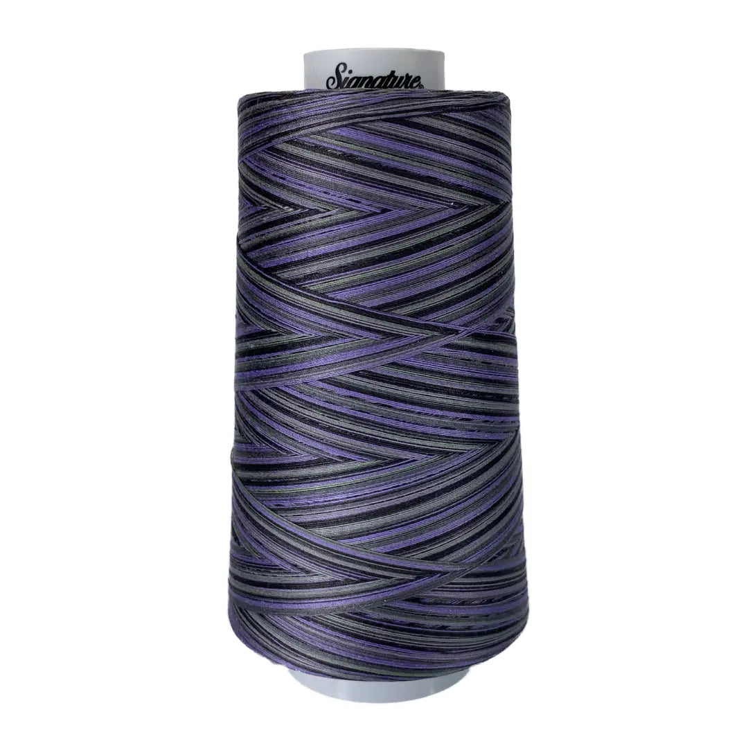 M14 Shadows Signature Cotton Variegated Thread - Linda's Electric Quilters