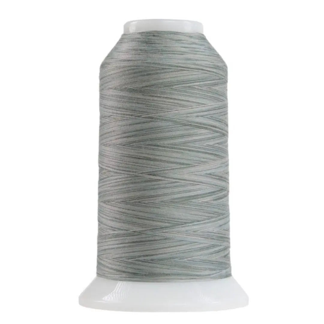 9138 Silver Mist Omni Variegated Polyester Thread - Linda's Electric Quilters