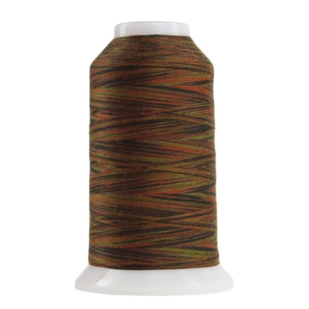 9144 Ottoman Omni Variegated Polyester Thread - Linda's Electric Quilters