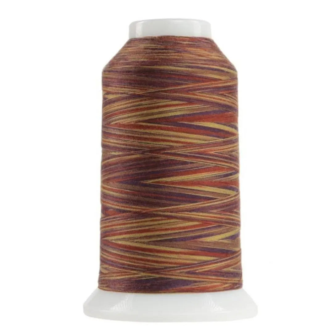 9149 Chenille Omni Variegated Polyester Thread