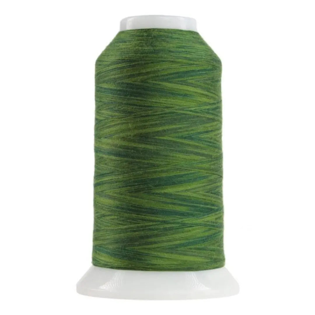 9159 Irish Spring Omni Variegated Polyester Thread - Linda's Electric Quilters