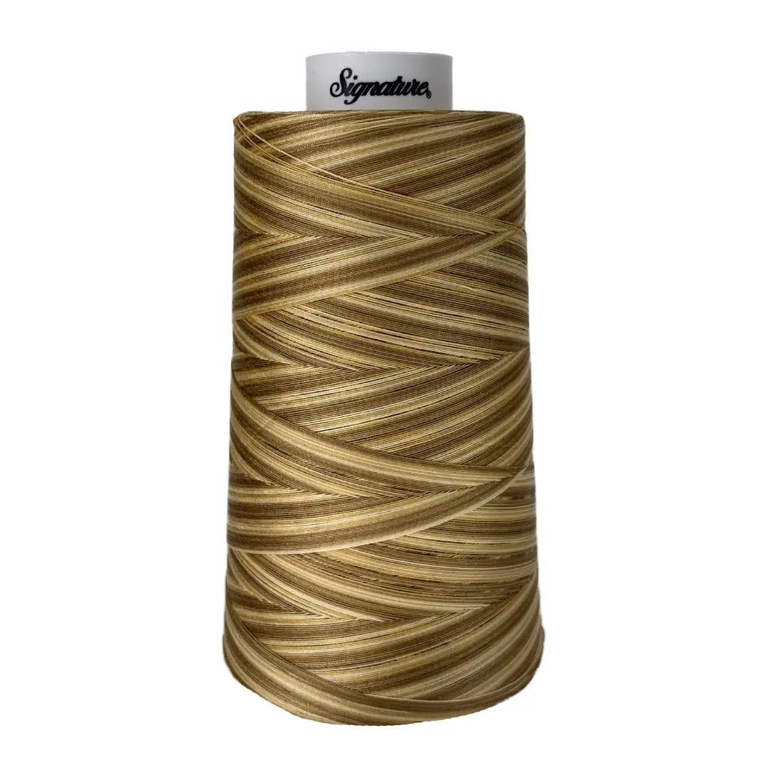 M75 Tan Tints Signature Cotton Variegated Thread - Linda's Electric Quilters