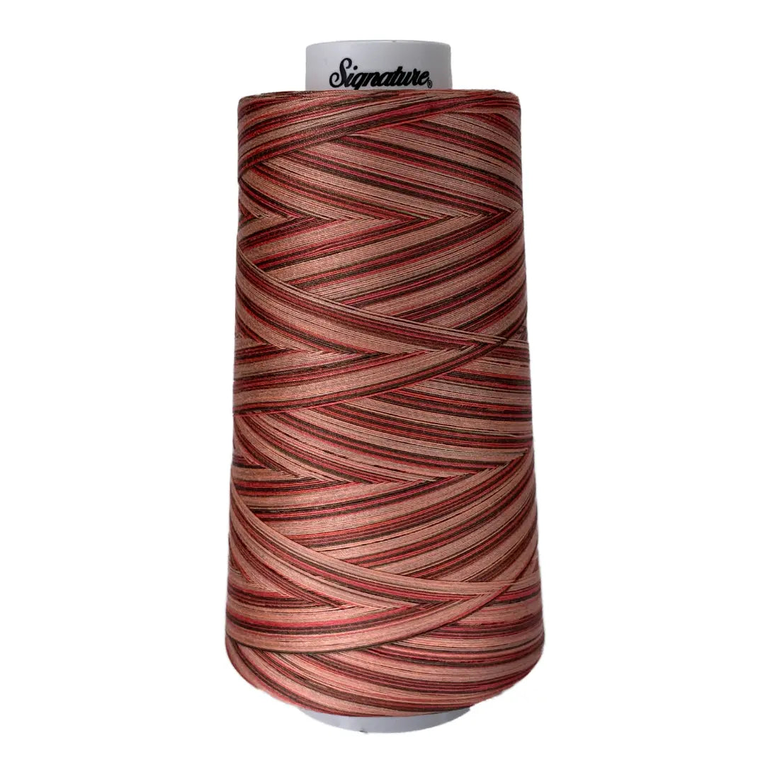 F250 Canyon View Signature Cotton Variegated Thread - Linda's Electric Quilters