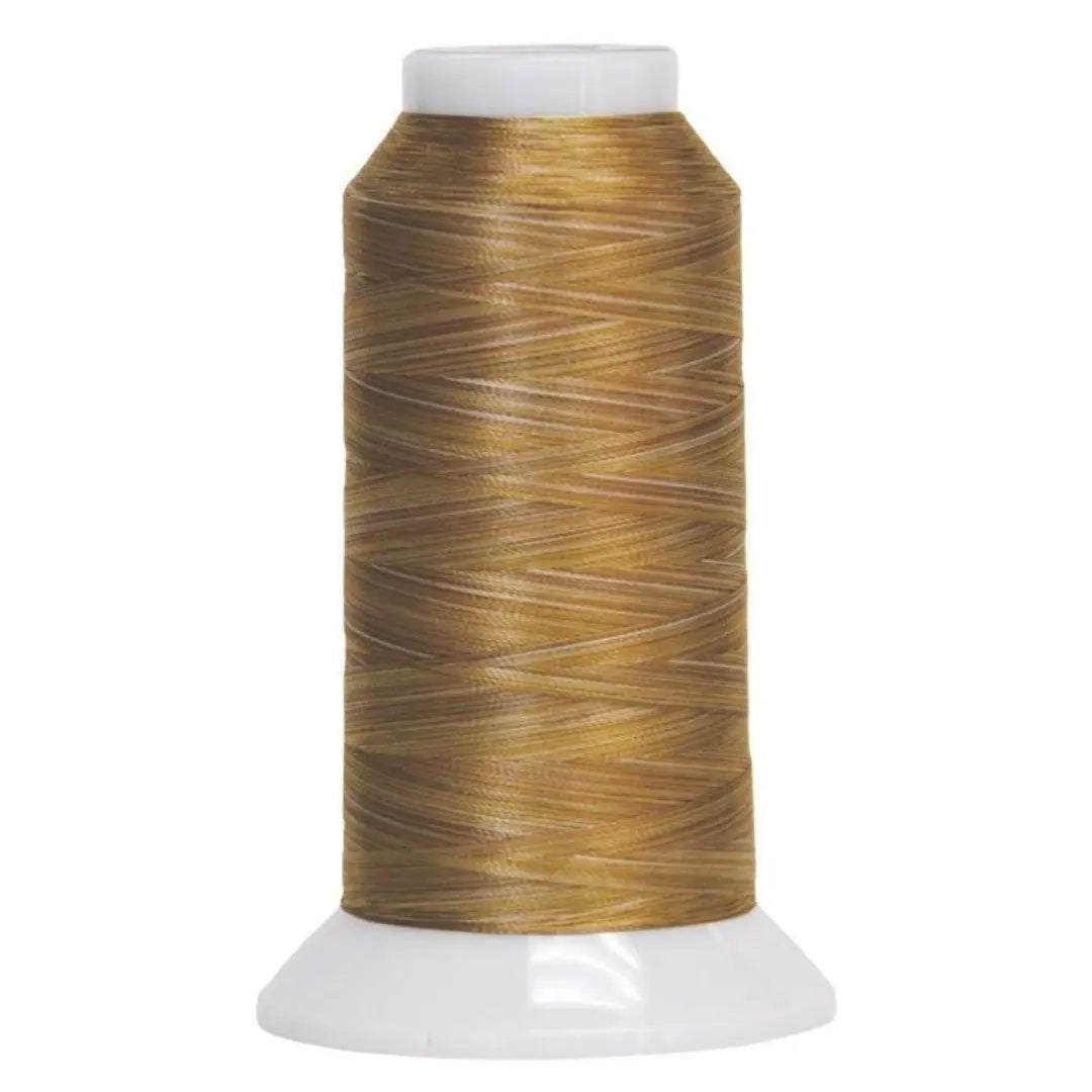 5001 Pancake Fantastico Variegated Polyester Thread - Linda's Electric Quilters